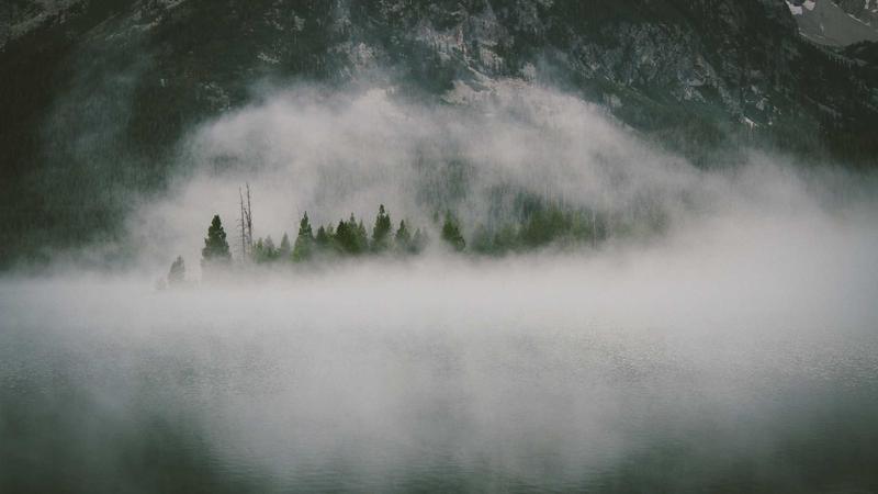 acfun流鼻血版网站弹幕大赛案例现场